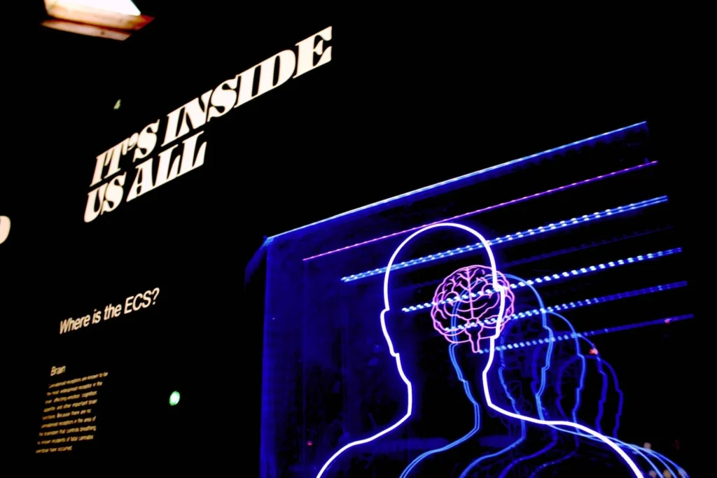 Dark Psychology Facts: What Everyone Should Know